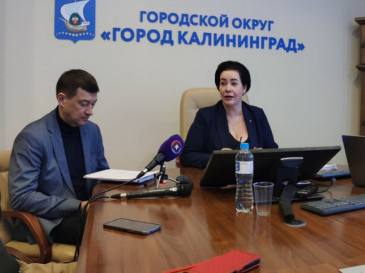 Дятлова рассказала о дефектах в новых автобусах ЛиАЗ для «Калининград-ГорТранса»