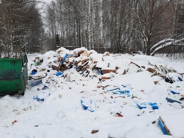 В Нижнем Ломове устранили три несанкционированных свалки