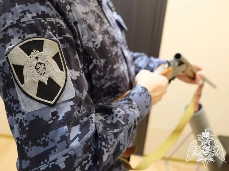 В Курской области сотрудники Росгвардии за 7 дней проверили 317 владельцев оружия