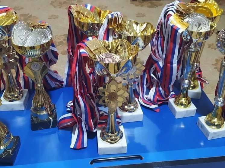Более пятисот медалей пополнили копилку спортсменов ДНР с начала года
