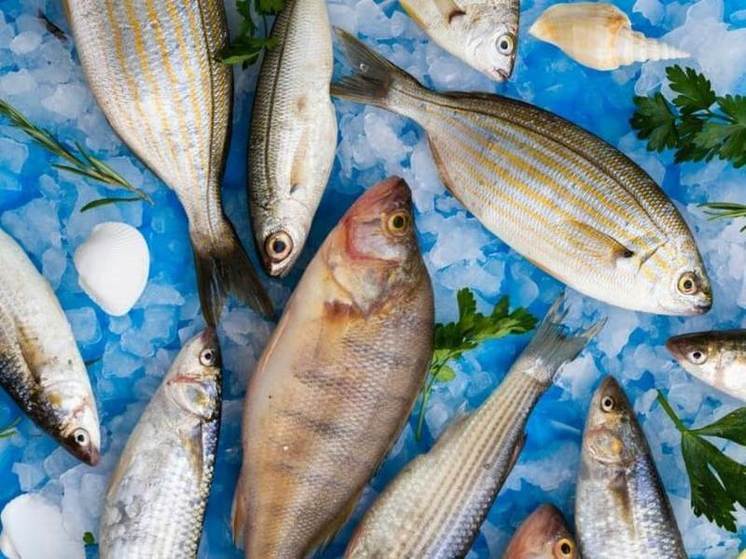 В Тамбовской области обнаружили подозрительную рыбную продукцию