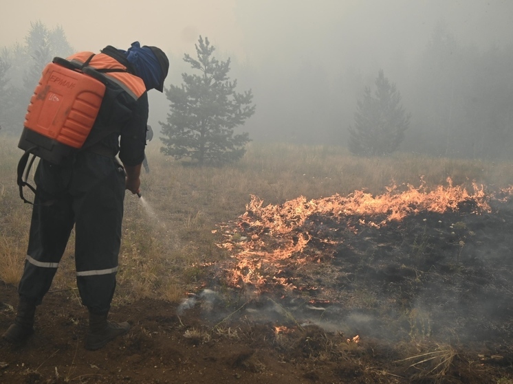 Рослесхоз прогнозирует сложную пожарную ситуацию в Челябинской области
