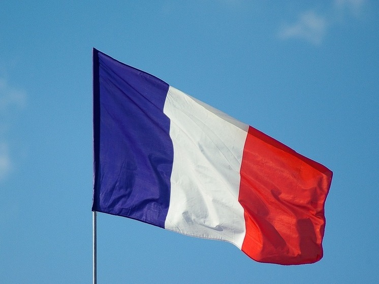 Рогов: французские войска нужны Зеленскому для подавления протестов