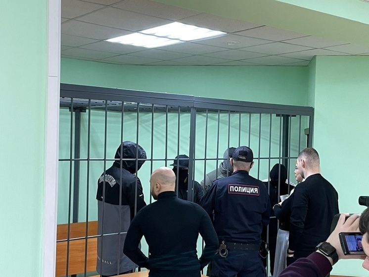 Пятерых новосибирцев отправили в колонию за нападение с топорами на комплекс с аэротрубой Free Fly