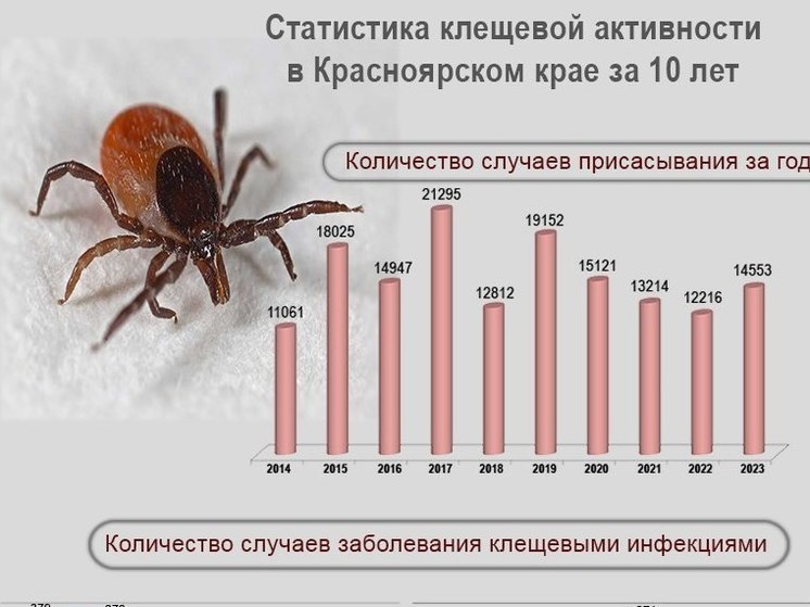 В Роспотребнадзоре предупредили о скором начале сезона клещей