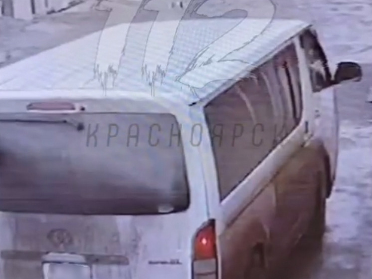 В Красноярске водитель достал из машины кошку и переехал ее