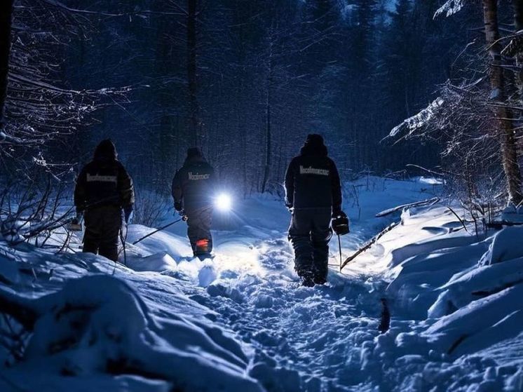 Спасатели отыскали мужчину, замерзавшего в лесу Лобни