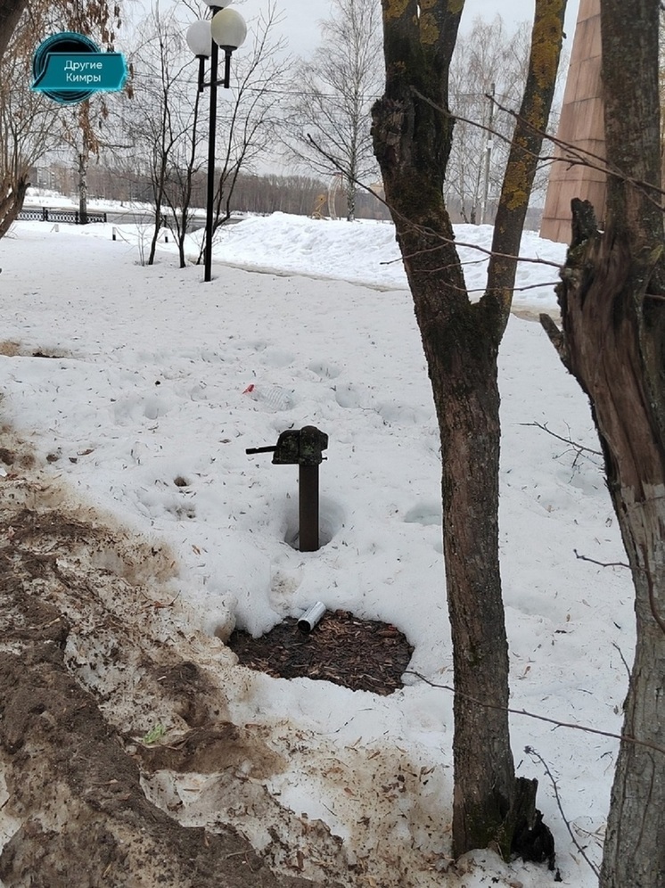 В Тверской области в снегу нашли «динозавра»
