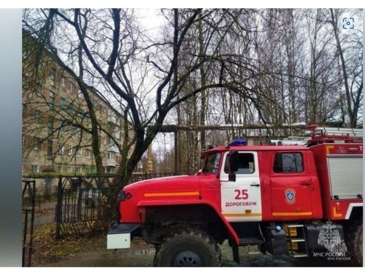 В Дорогобуже погибла женщина при пожаре