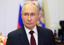 Читатели Die Welt подвергли критике обращение канцлера ФРГ Олафа Шольца к президенту РФ Владимиру Путину по Украине