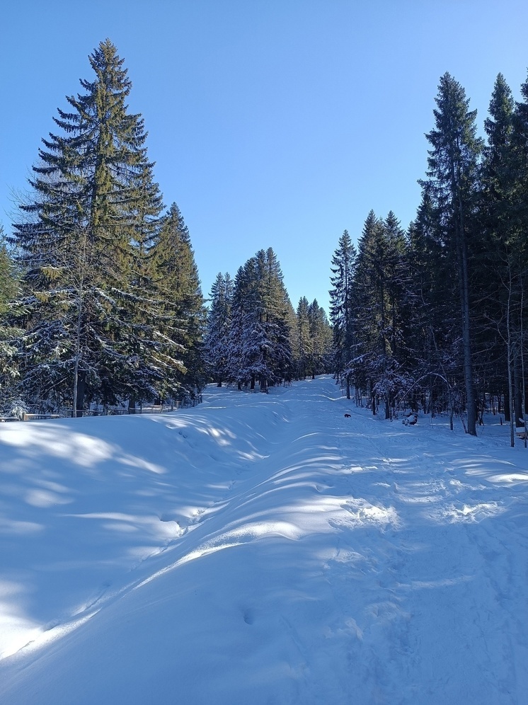 Синоптики не советуют жителям Карелии убирать зимнюю одежду до апреля