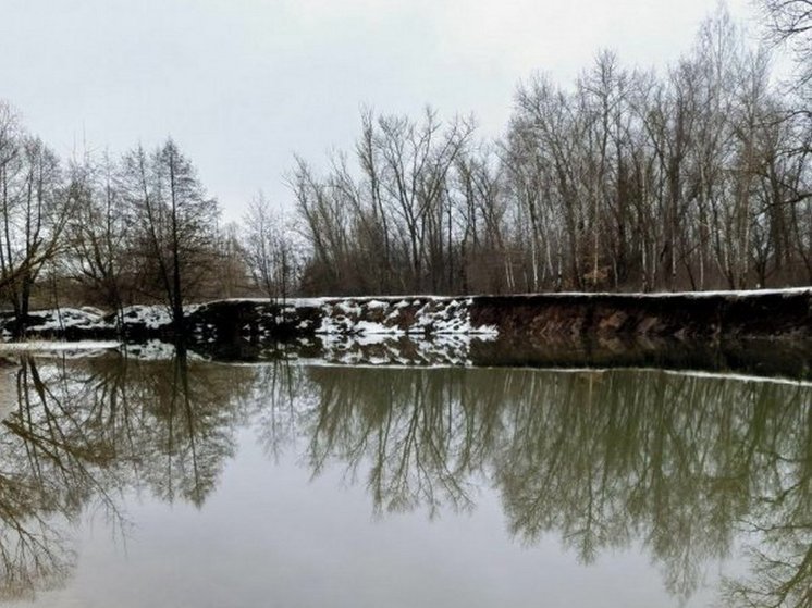 Уровень воды в реке Тускарь в Курске за сутки поднялся на 8 см