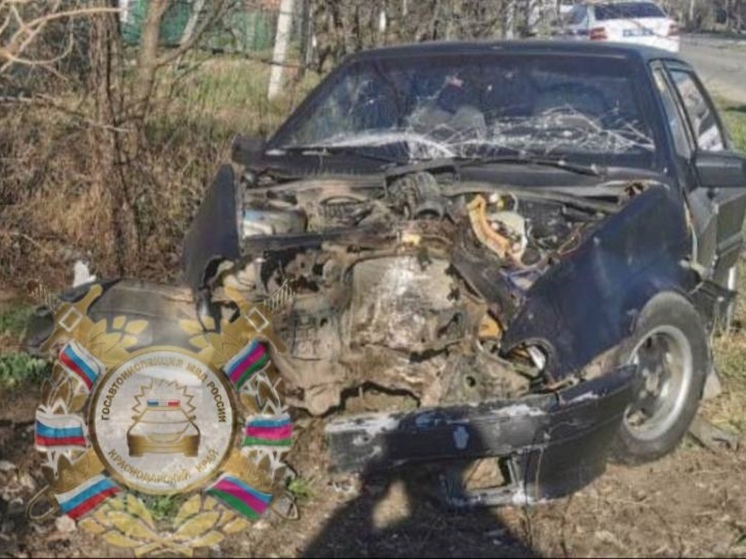 В Кореновском районе при столкновении ВАЗа с деревом пострадали водитель и пассажир