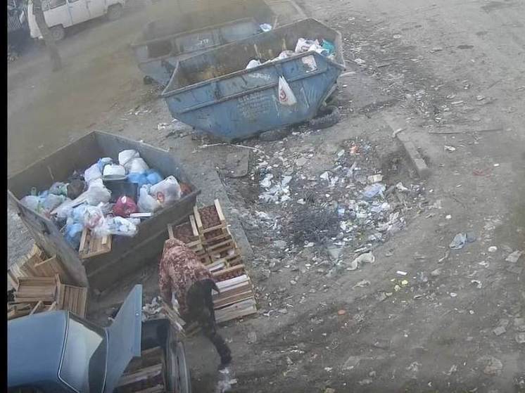 За сброс мусора в неположенном месте астраханцу назначен штраф в 40 тысяч рублей