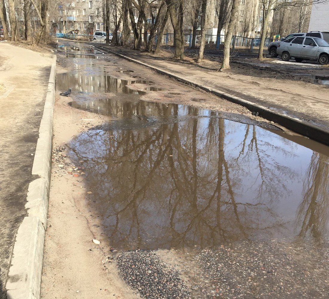 Как выглядит Воронеж в лужах города