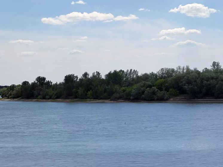 В начале года вода в Иртыше в Омской области стала немного чище