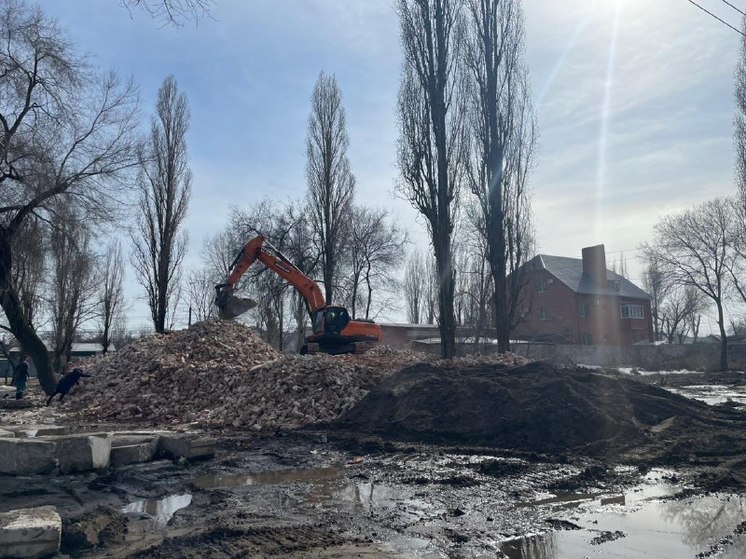 Экологи Воронежа накажут подрядчика, повредившего деревья при сносе дома