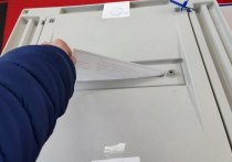 Петербургская избирательная комиссия проведет проверку из-за появления в Сети видео, на котором женщина кидает бумаги в урну для голосования. Соответствующее сообщение появилось в telegram-канале регионального Избиркома.