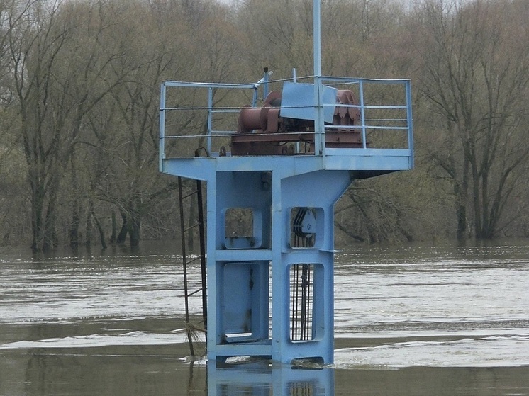 На учениях в Москве отработали безаварийный пропуск паводка и предотвращение природных пожаров