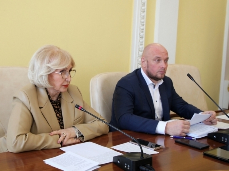 В Генплан и Правила землепользования Рязани могут внести изменения
