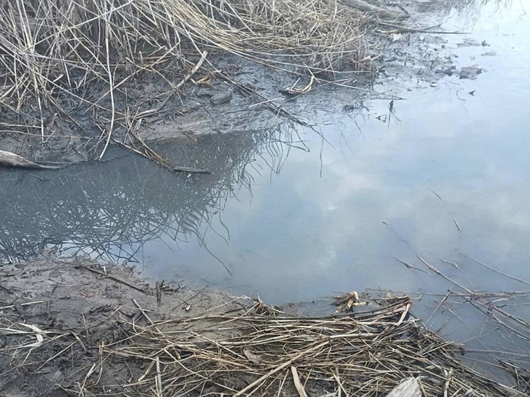 Минприроды Ростовской области зафиксировало слив канализации в Северский Донец