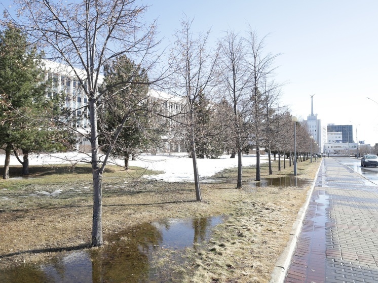 Резкое похолодание до -30 градусов возможно в Томской области в ночь на 22 марта