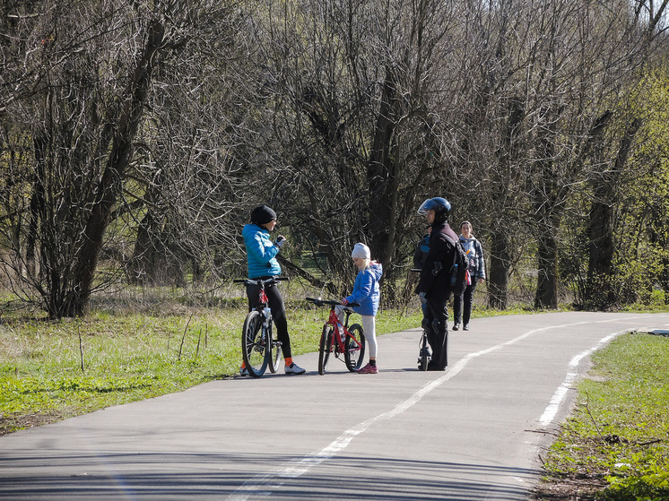 Волонтеры помогают выбирать объекты благоустройства в Подмосковье