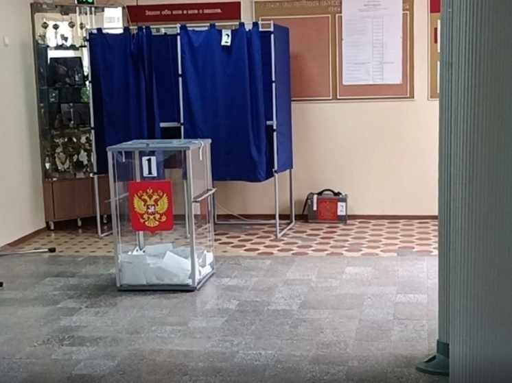 В Волгограде дело о поджоге дымовой шашки на выборах передали в суд