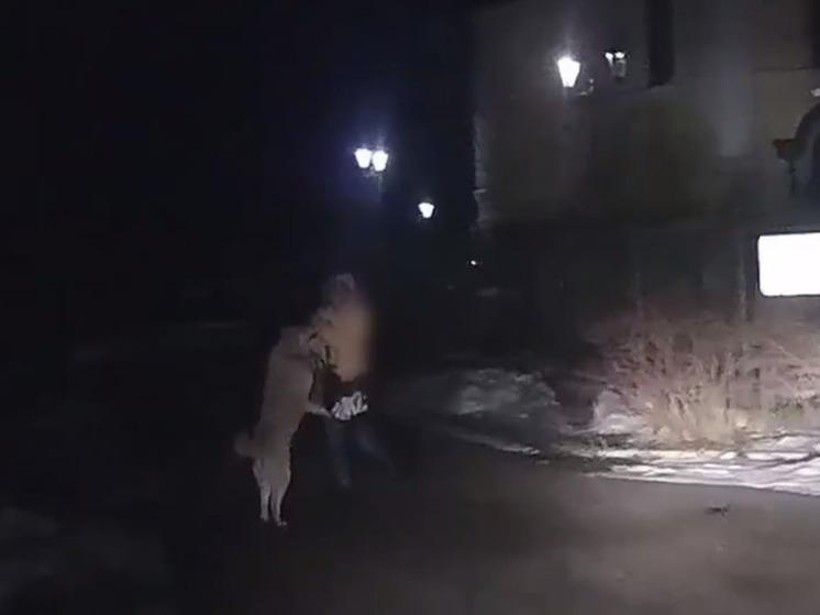 Огромный пес чуть не загрыз девушку в Ленинградской области