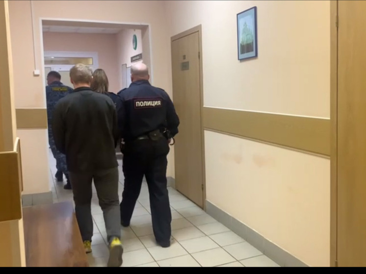 Подозреваемого в убийстве таксиста в Сланцевском районе заключили под стражу