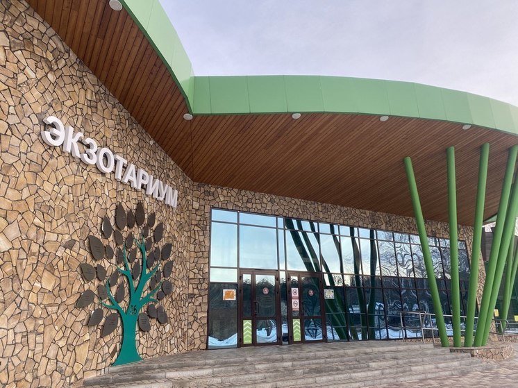 Раненого при обстреле лебедя из Белгородского зоопарка прооперировали