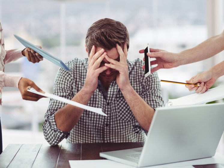 Минералы приобретают в качестве домашних питомцев