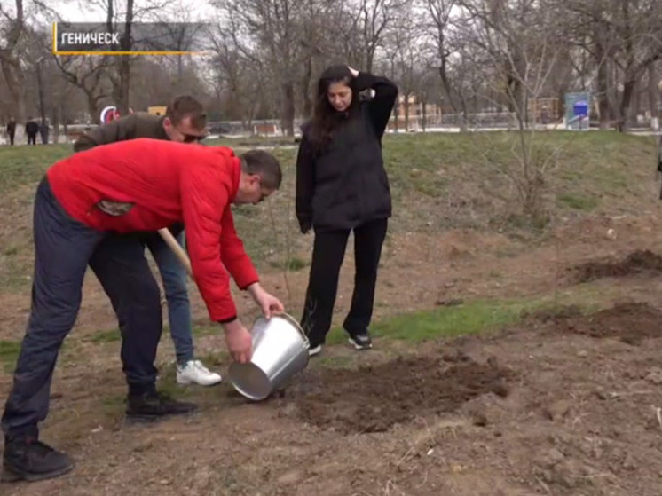 В парке Шевченко города Геническа высадили 100 саженцев деревьев