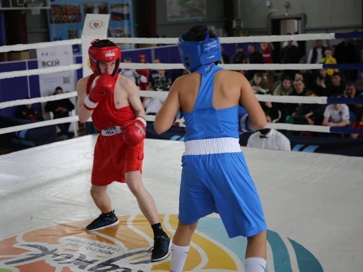 На Кубани прошли краевые соревнования по боксу