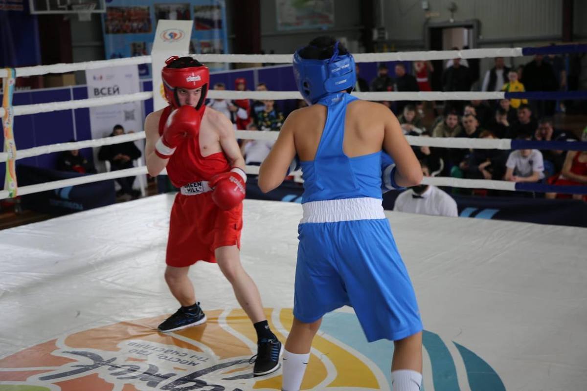 Regional boxing competitions were held in Kuban