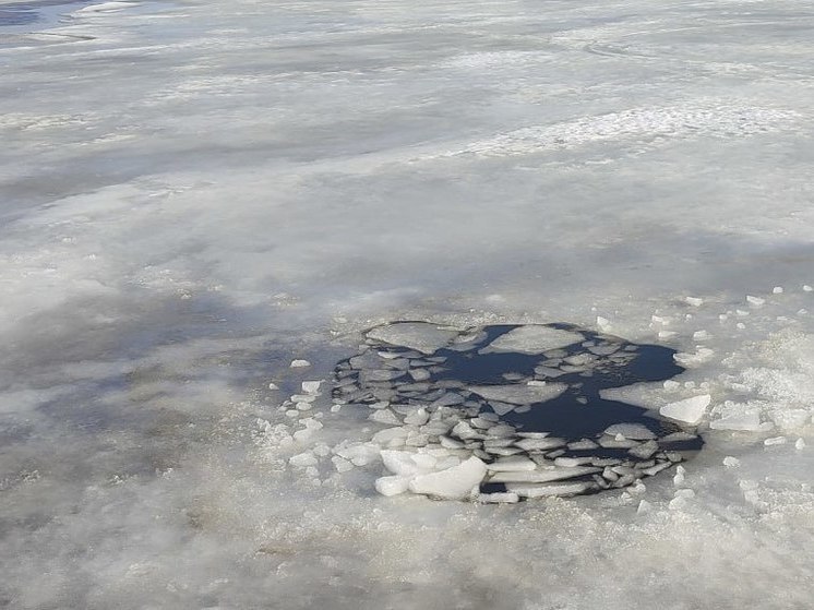 Спасатели назвали 5 самых опасных сейчас водоемов в Подмосковье