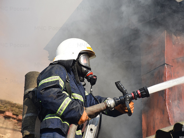 С начала года в Брянской области при пожарах погибли 30 человек
