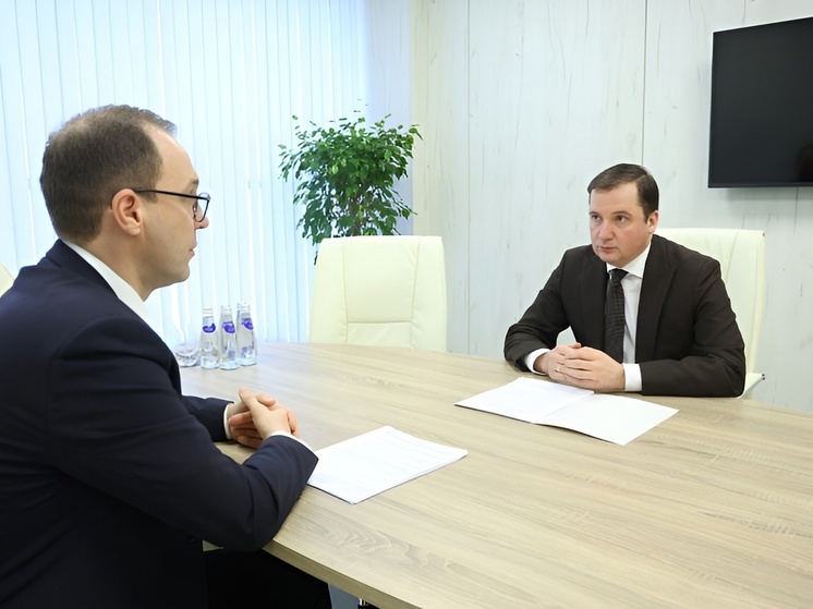 Александр Цыбульский и Евгений Петров обсудили перспективы добычи природных ископаемых в Поморье