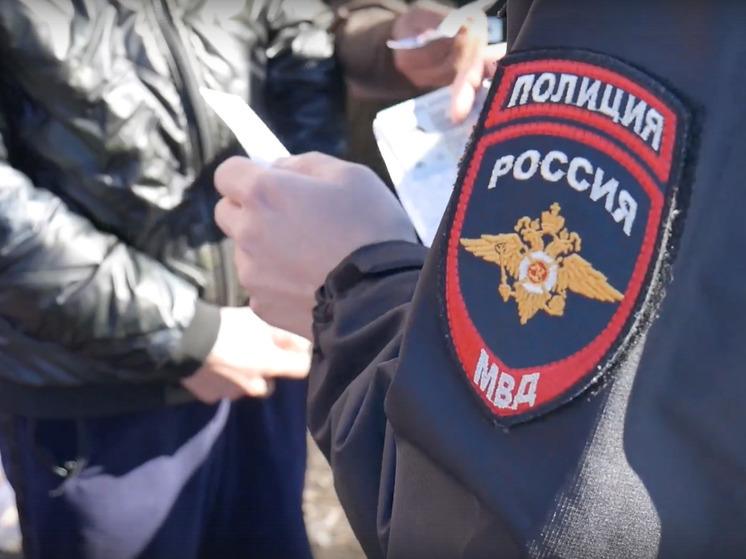 Полиция выявила 34 мигрантов при помощи БПЛА