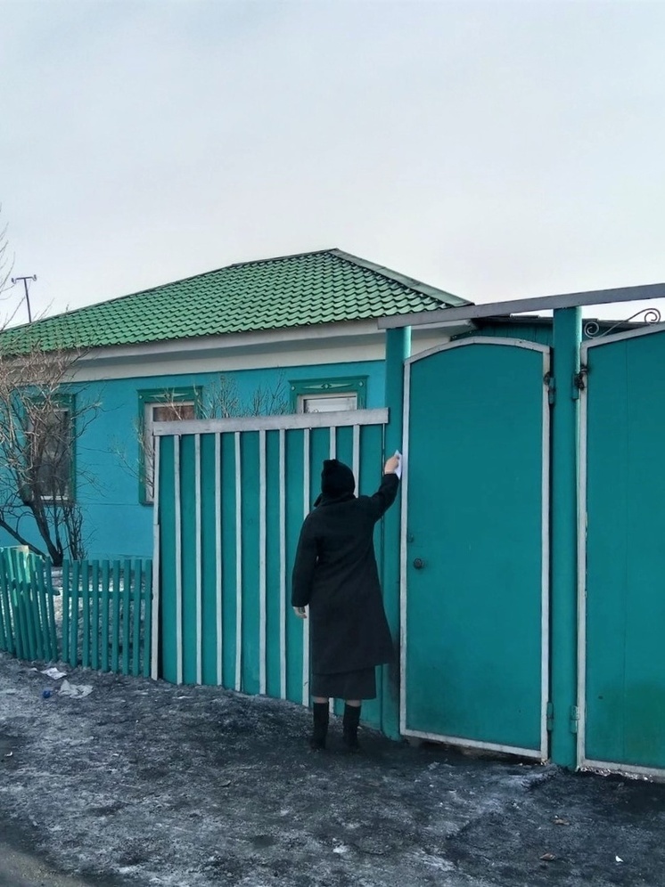 Жителей Кызыла штрафуют за свободный выгул собак