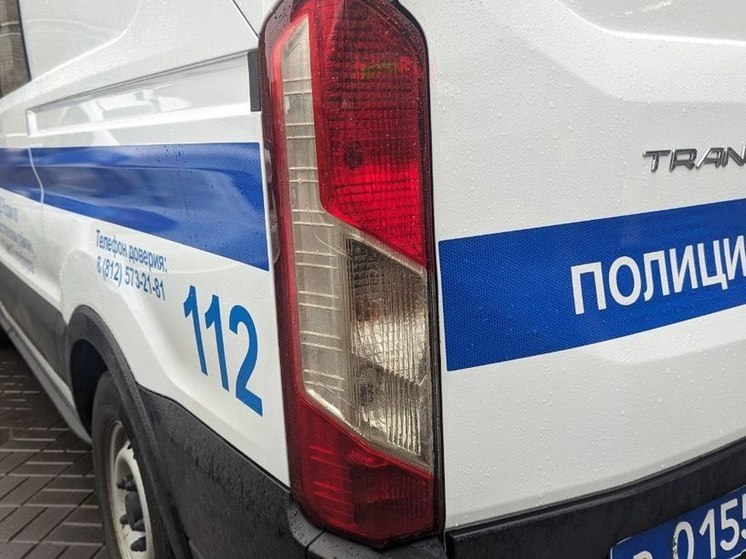 Безработного рецидивиста из Гатчинского района заподозрили в поджоге иномарки