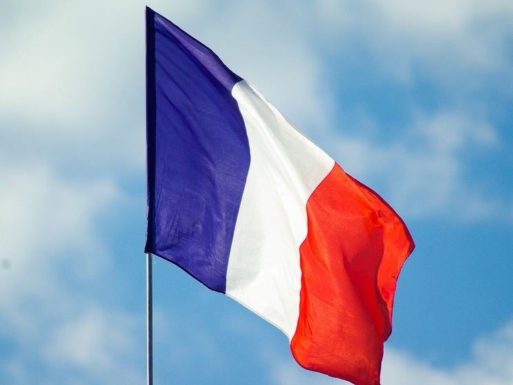МИД Франции: депутат Толстой пытается "запугать" французских солдат своими заявлениями