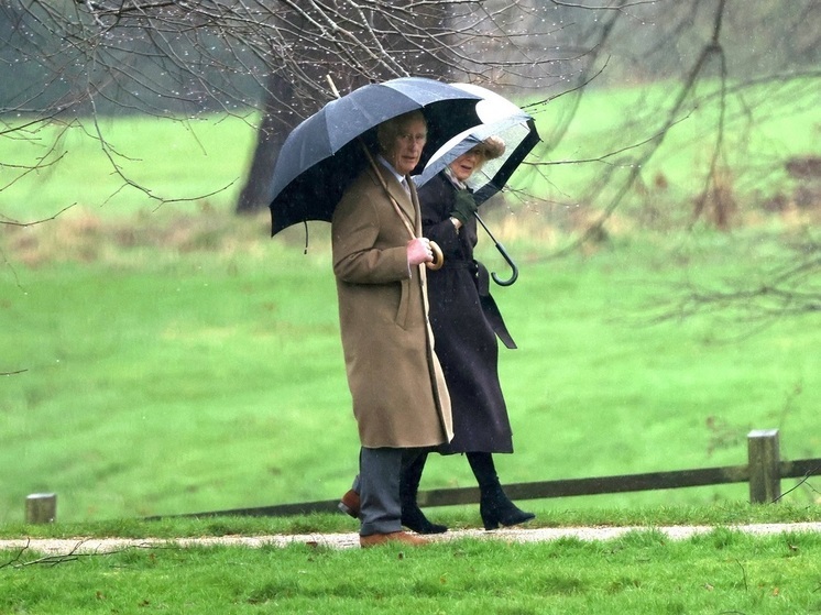 «Очень хорошо»: супруга Карла III отметила его прекрасное самочувствие