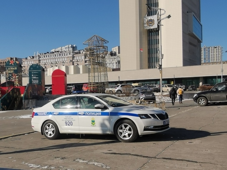 Полиция Владивостока задержала серийного грабителя гаражей