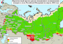 Долгосрочный прогноз рисков лесных пожаров в Алтайском крае и Республике Алтай на март-сентябрь опубликован Авиалесоохраной.