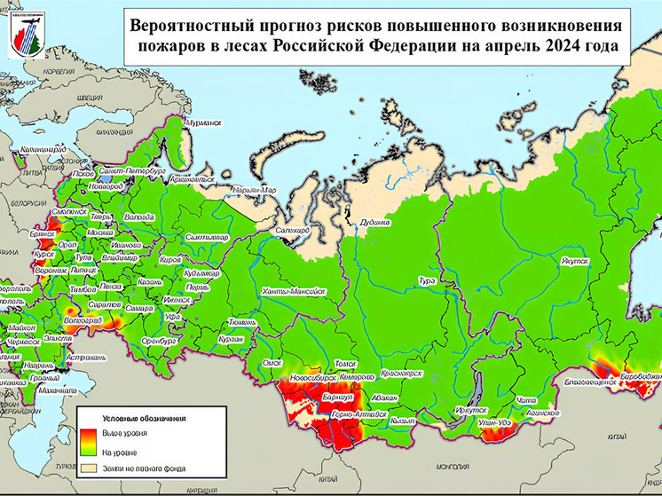 Опубликован прогноз лесных пожаров на Алтае на 2024 год