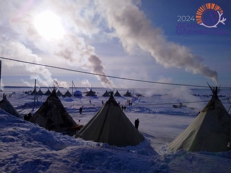 Похолодание придет в Салехард в День оленевода