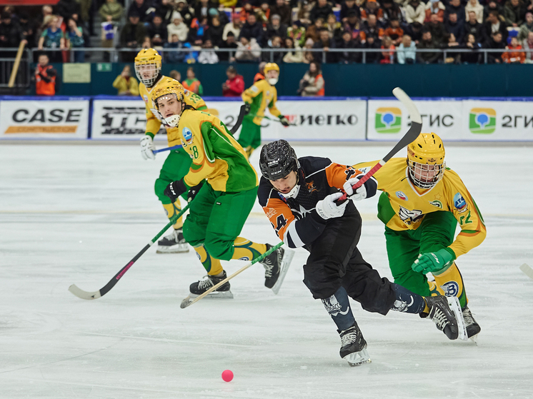 Комиссия выявила нарушения в судействе финала чемпионата по хоккею в Кемерове