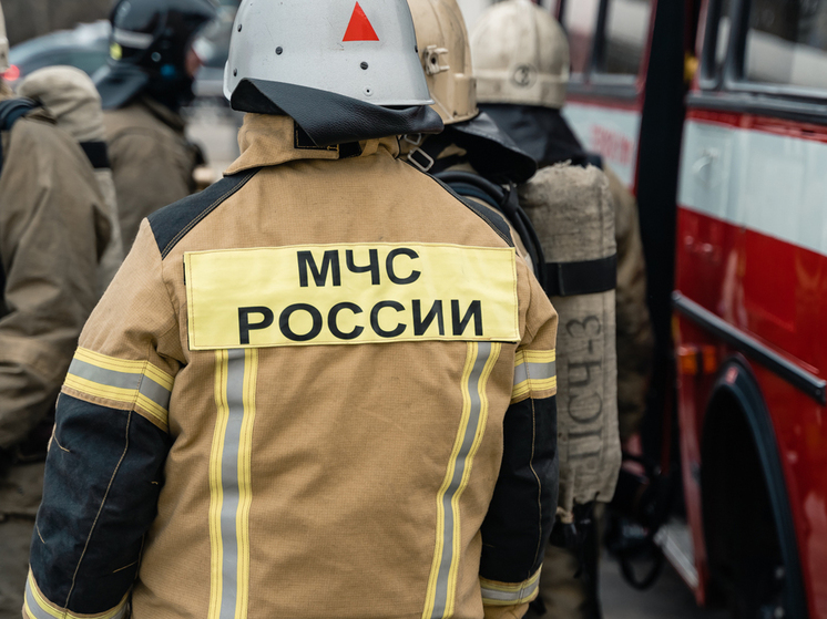 На пожаре в Фроловском Сасовского района погиб 64-летний мужчина