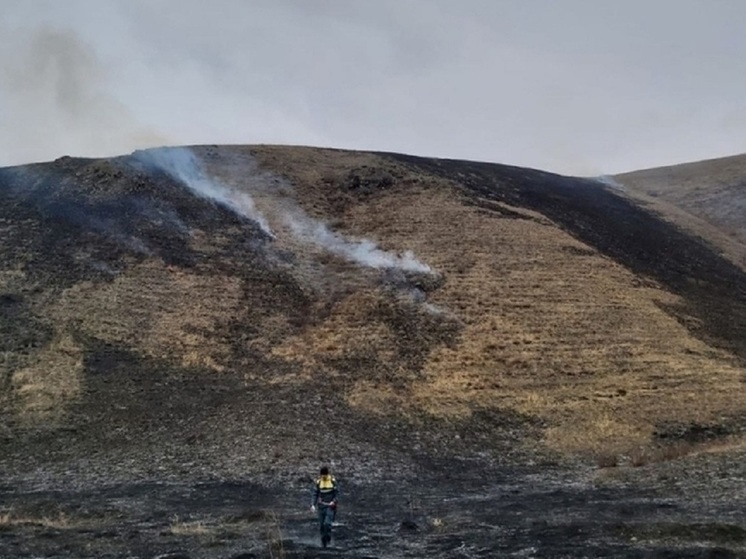 Восемь виновных в природных пожарах установили в Забайкалье с начала года